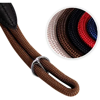 lionto laisse de dressage avec collier intégré et butée, en nylon