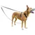 Petsafe Laisse pour chien Anti-Traction Solide, Durable, avec bandes Réfléc Petsafe Laisse pour chien Anti-Traction Solide, Durable, avec bandes Réfléc