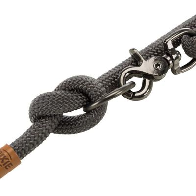 Laisse Réglable pour Chiens Corde d'Animaux Ceinture Multi-taille