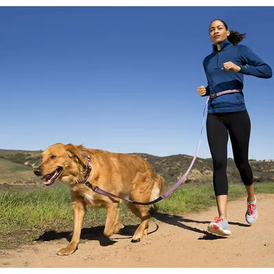 Halti All-in-One Lead Laisse avec Bande Réfléchissante pour Chien Noir Tail