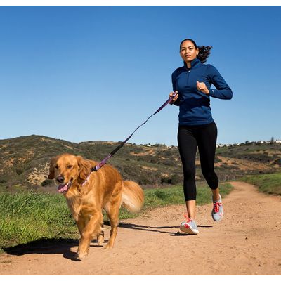 Halti All-in-One Lead Laisse avec Bande Réfléchissante pour Chien Noir Tail