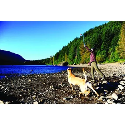 CHUCKIT! Lanceur de balle 14S - Vert, orange ou bleu - Pour chien CHUCKIT! Lanceur de balle 14S - Vert, orange ou bleu - Pour chien