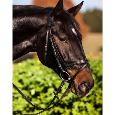 KERBL Bridon Standard pour Poney Brun KERBL Bridon Standard pour Poney Brun
