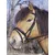 KERBL Bridon Standard pour Poney Brun KERBL Bridon Standard pour Poney Brun