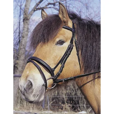 KERBL Bridon Standard pour Poney Brun KERBL Bridon Standard pour Poney Brun