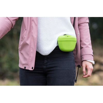 Rosewood Pochette a Friandises en Silicone pour Chiens Verte