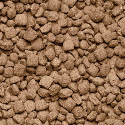 Beaphar Care+ Aliment extrudé pour rats