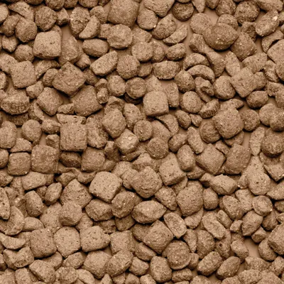 Beaphar Care+ Rat Food 700g