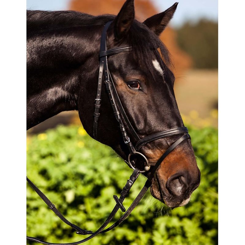 Nobby est une marque allemande qui a déé en se spécialisant dans les produi