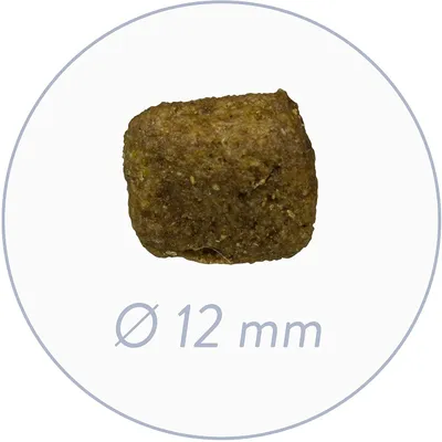 Bosch Nourriture pour Chien – Poulet et Riz