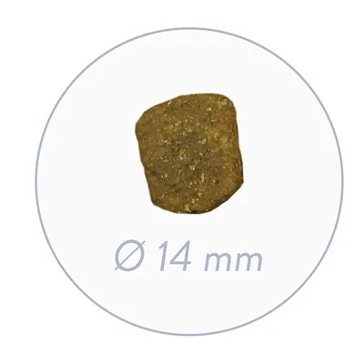 Bosch – Croquettes pour Chiens Adultes – Truite et Pomme de Terre