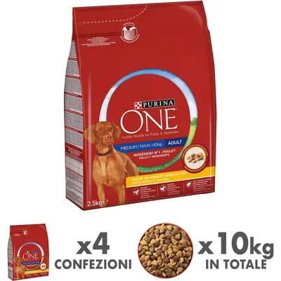 PURINA ONE - Croquettes pour Chien - Medium/Maxi Adult