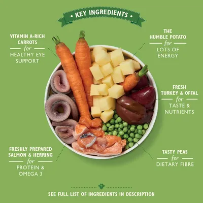 Lily's Kitchen Pâtée pour Chien – Recette au Poisson