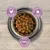 Eukanuba - Croquettes pour Chiot - Grande Race