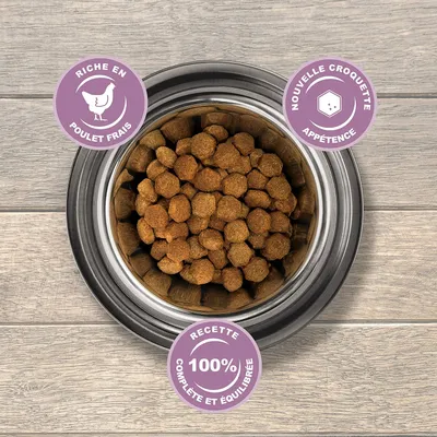 Eukanuba - Croquettes pour Chiot - Grande Race