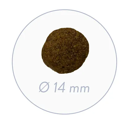 Bosch Nourriture pour Chien – Agneau et Riz