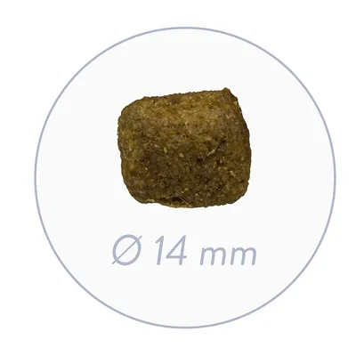 Bosch Nourriture pour Animaux – Poulet pour Adultes