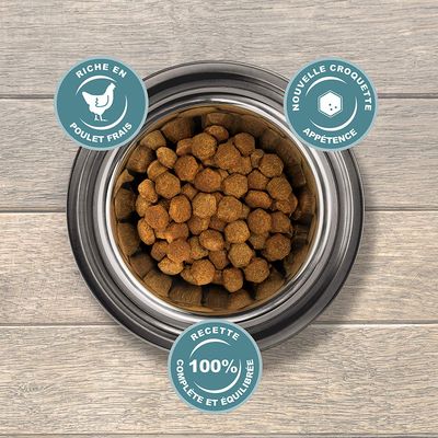 Eukanuba Chien Adulte Nourriture seche Pour Grande Race Poulet 3kg