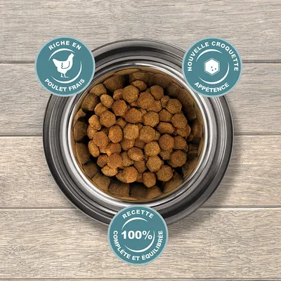 Eukanuba Chien Adulte Nourriture seche Pour Grande Race Poulet 3kg