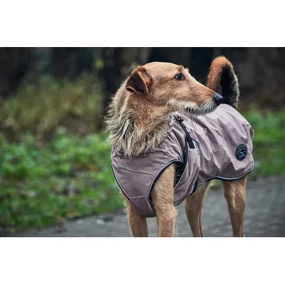 Hunter Uppsala Manteau pour Chien Taupe 75 cm