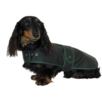 Cosipet Manteau de Chasseur Teckel 28 cm