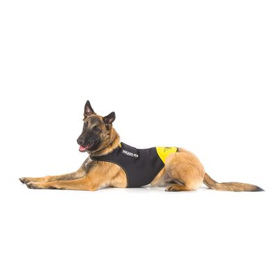 16dc-idc-b1-pn Julius-K9 Harnais en néoprène