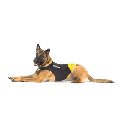 16dc-idc-b1-pn Julius-K9 Harnais en néoprène