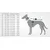 Hunter Manteau pour Chien Uppsala Rain, 70 Noir