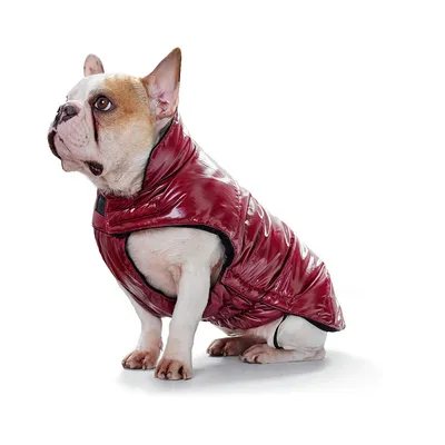 Hunter Tampere Manteau pour Chien Rouge 40 cm