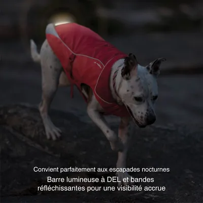Kurgo Manteau pour Chien, Vêtement Imperméable, Veste animaux de compagnie