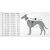 Hunter Manteau pour Chien d'Uppsala,