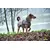 Hunter Manteau pour Chien d'Uppsala,