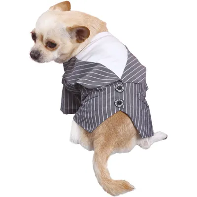 Doggy dolly C018 chien Veste à rayures fines Gris
