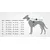HUNTER Malmo Pull pour Chien, 25 cm, Beige
