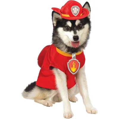 Rubie's Paw Patrol Costume Marshall pour chien