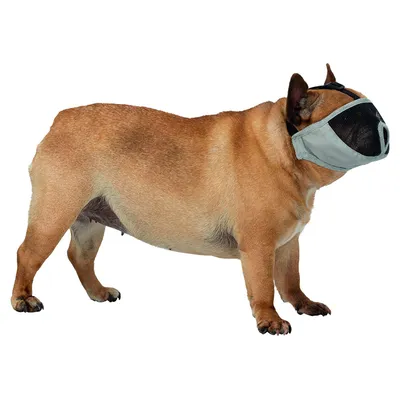 TRIXIE Museliere pour races a museau court en polyester - XS?S - 15 cm - Gr