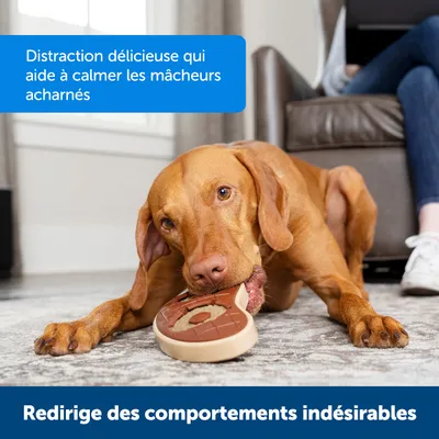 Petsafe Anneaux de Friandises en Peau de B?uf pour Jouet Busy Buddy pour Ch
