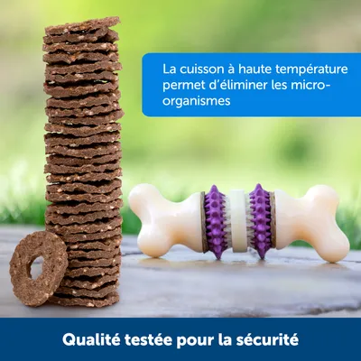 Petsafe Anneaux de Friandises en Peau de B?uf pour Jouet Busy Buddy pour Ch