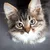 Relaxdays Arche à chat avec herbe à chat, archet de toilettage pour chat -