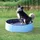 Trixie Piscine pour Chien Bleu Foncé Diamètre 120 × 30 cm