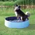 Trixie Piscine pour Chien Bleu Foncé Diamètre 120 × 30 cm Trixie Piscine pour Chien Bleu Foncé Diamètre 120 × 30 cm