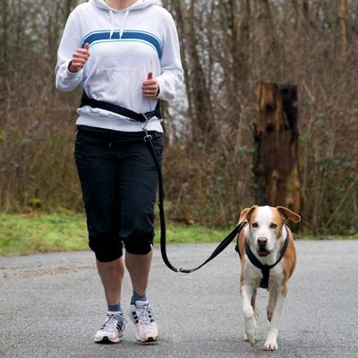 Ceinture de Jogging pour Chiens Laisse pour Chiens Chiot ulti-taille