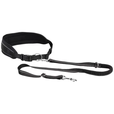 Ceinture de Jogging pour Chiens Laisse pour Chiens Chiot ulti-taille