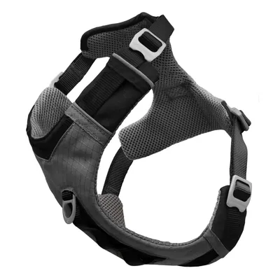 Harnais pour Chiens aisse Chiots Animaux Course Randonnée XS/S/M//X