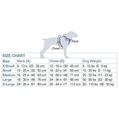 Harnais pour Chiens Laisse Chiots Animaux Course Randonnée XS/S/M/L/