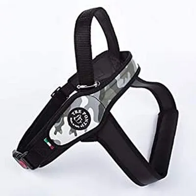 Tre Ponti Pett. Grand Chien avec Bordure Dorsale Cannete Camo America Taill