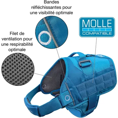 Kurgo Harnais de Sécurité pour Chien, Canicross Compatible Molle Urbain RSG