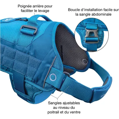 Kurgo Harnais de Sécurité pour Chien, Canicross Compatible Molle Urbain RSG