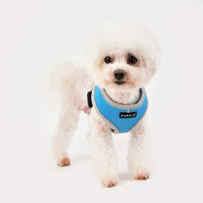 Puppia Soft Harness II - Harnais Souple pour Chiens de Petite et Moyenne Ta