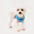 Puppia Soft Harness II - Harnais Souple pour Chiens de Petite et Moyenne Ta